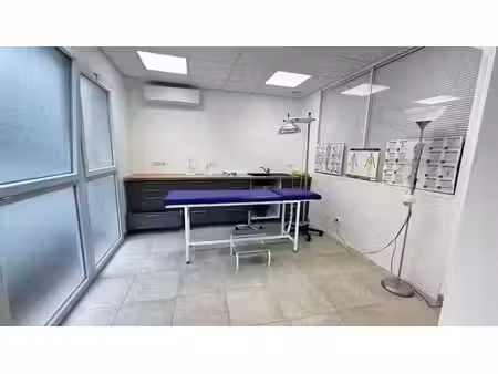 location locaux professionnels 80 m² à léguevin (31490)  1 004 €
