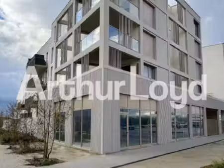 location commerce fleury sur orne 14123 274m²