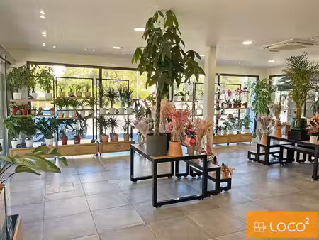 location commerce 200m²
