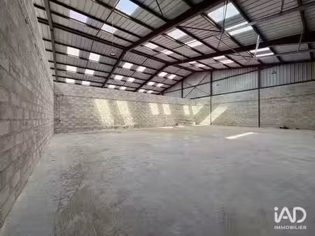 location hangar 244 m²