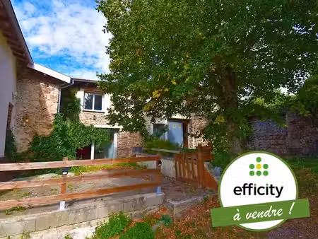 vente maison 4 pièces 101 m² à coise (69590)  229 000 €