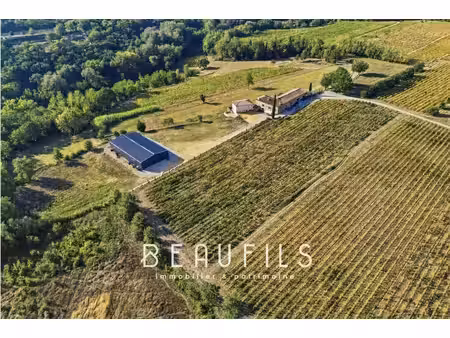 exclusivité. domaine de caractère avec vignoble et mas historique