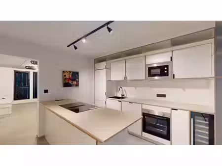 duplex 3 chambres - meublé