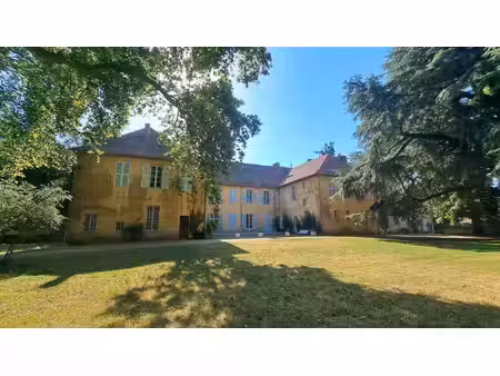 château à vendre à changy