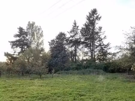 vente terrain à la meignanne (49770) : à vendre / 543m² la meignanne