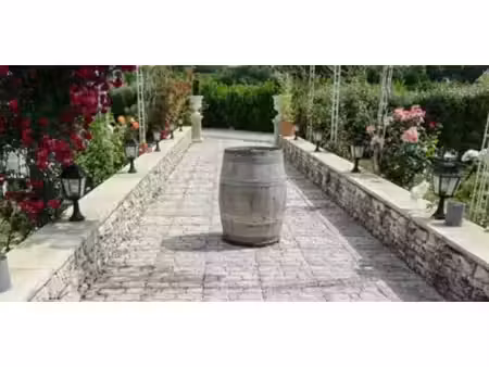 propriété avec jardin braye-sous-faye (37)