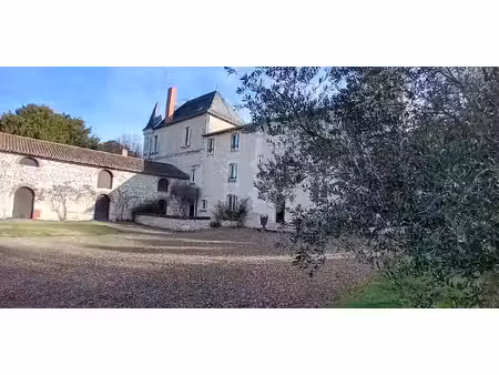 maison avec jardin faye-la-vineuse (37)