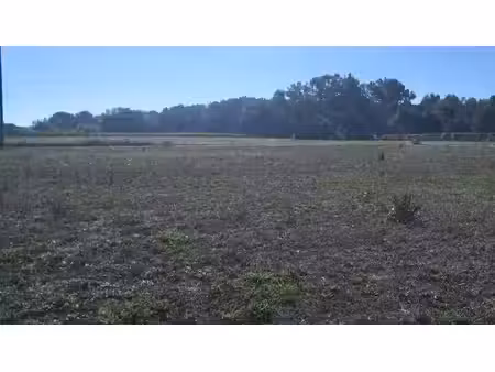 vente terrain 1471 m² à merignac (17210)  30 500 €