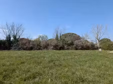 vente terrain 1453 m² à muret (31600)  179 000 €