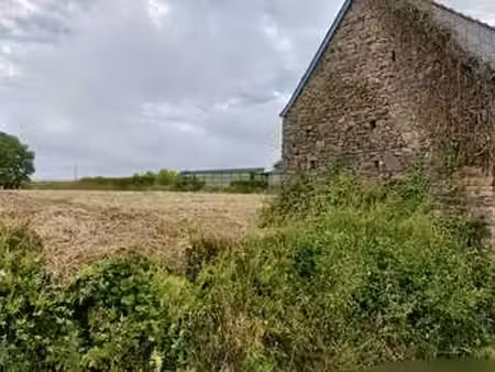 vente terrain à plouézec (22470) : à vendre / 2935m² plouézec