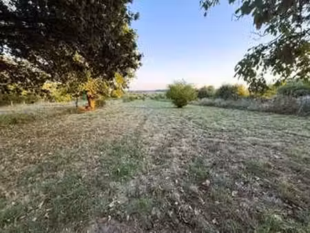 vente terrain à guer (56380) : à vendre / guer
