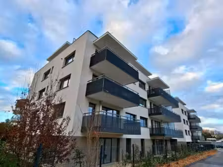 superbe studio t1 centre ville