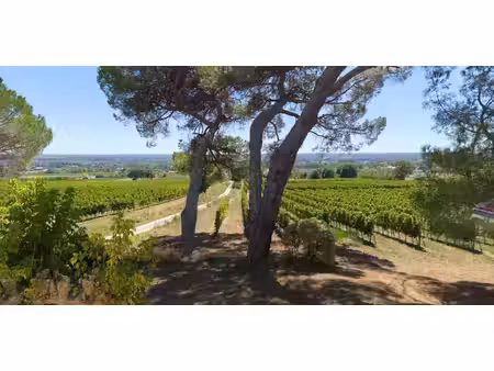 maison avec jardin saint-macaire (33)