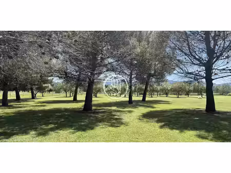 maison avec piscine et jardin saint-rémy-de-provence (13)