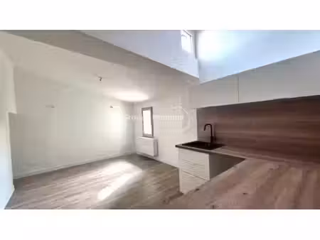 st didier appartement entierement renove