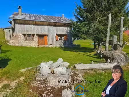 maison à vendre 0 pièces brizon (74)