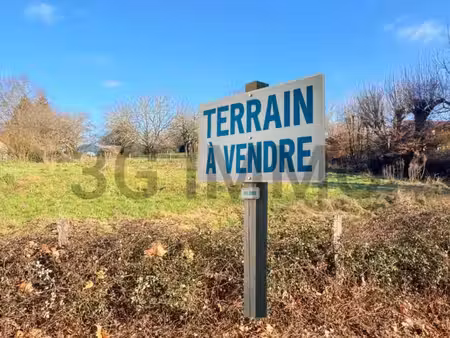 terrain