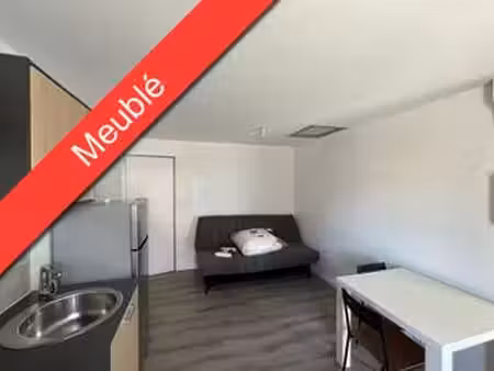 location appartement t1 meublé à saint-michel-mont-mercure (85700) : à louer t1 meublé / 1
