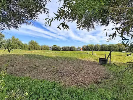 grond te koop in hillegem