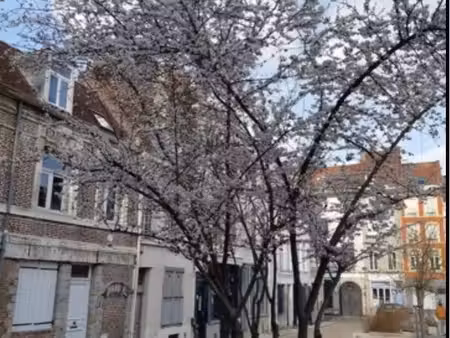 appartement meublé vieux lille f2
