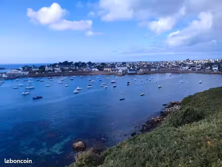 à la recherche de notre petit cocon