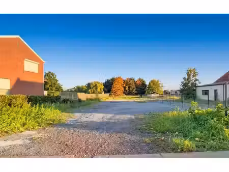 terrain