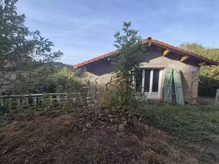nouveauté à montchal - maison au calme avec fort potentiel