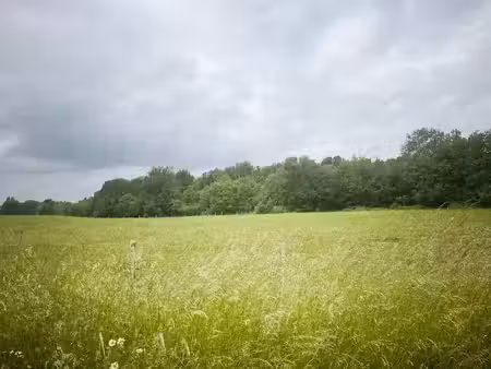 vente terrain 620 m² à cavignac (33620)  50 000 €
