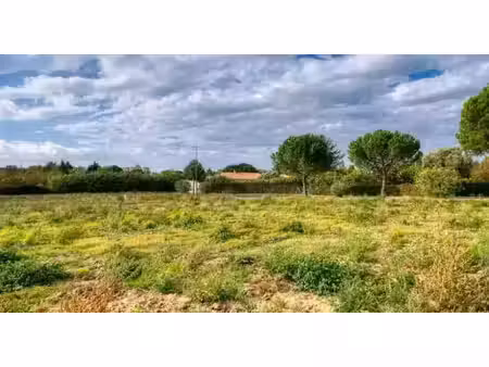 vente terrain 600 m² à villesèquelande (11170)  65 000 €