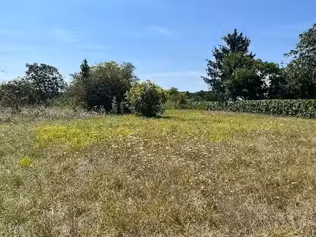 vente terrain 460 m² à la lande-de-fronsac (33240)  70 000 €