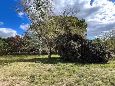 vente terrain 850 m² à saint-pardon-de-conques (33210)  68 000 €