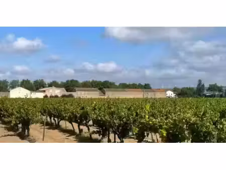 vente terrain 534 m² à canet (11200)  79 900 €