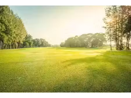 vente terrain 660 m² à aubigny (85430)  82 000 €