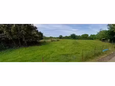 vente terrain 1289 m² à saint-martin-en-campagne (76370)  89 000 €