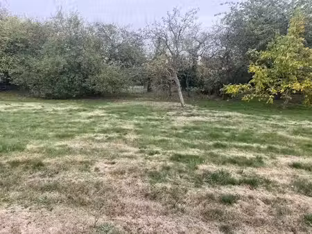 vente terrain 563 m² à dourdan (91410)  126 000 €