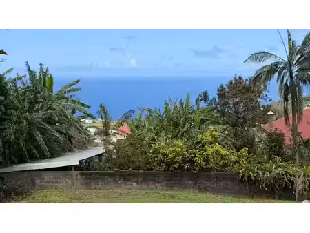 vente terrain 384 m² à petite ile (97429)  137 000 €