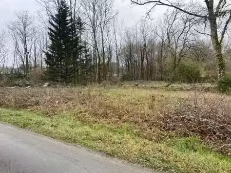 vente terrain 480 m² à saucats (33650)  135 000 €