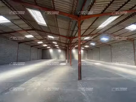 vente local d’activités saint-alban 31140 1200m²