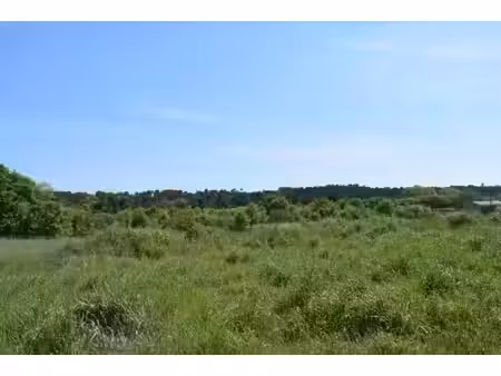 vente terrain 500 m² à galargues (34160)  181 900 €