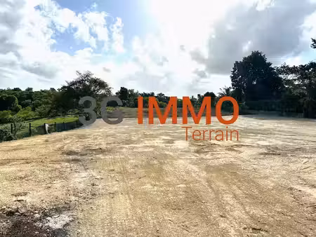 vente terrain 6389 m² à sainte anne (97180)  294 000 €
