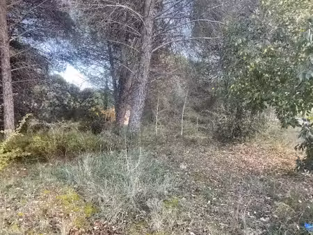 vente terrain 901 m² à alleins (13980)  270 000 €