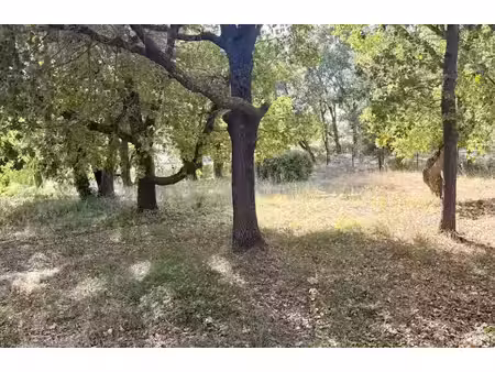 vente terrain 1089 m² à eguilles (13510)  420 000 €
