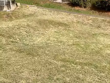 terrain constructible à ducos 835 m2