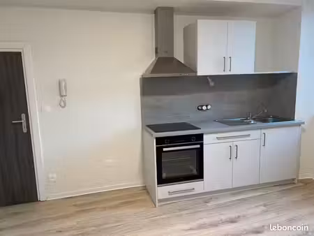 sarre-union — charmant 1-2 pièces rénové de 44m² à louer