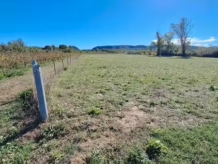 terrain 5000m2