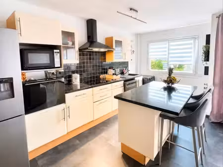 appartement 3 pièce meublé très charmant dispo de mi-décembre