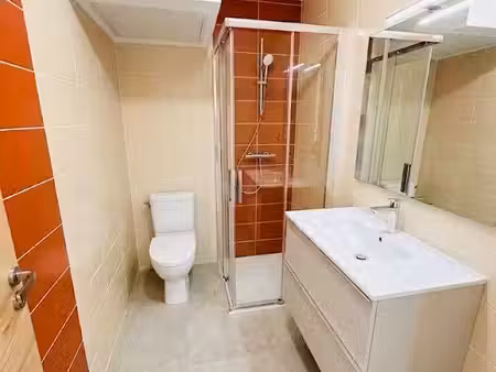 appartement refait à neuf 40m2