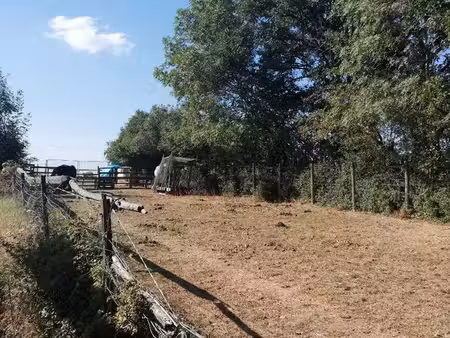 location terrain de loisir  chevaux 3500 m2
