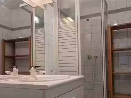 location appartement 1 pièce 25 m² à toulouse (31000)  500 €