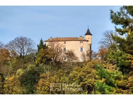 maison de luxe à vendre à puycalvel
